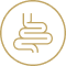 Enhanced Gut,Health