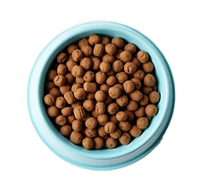 Transition Step Image